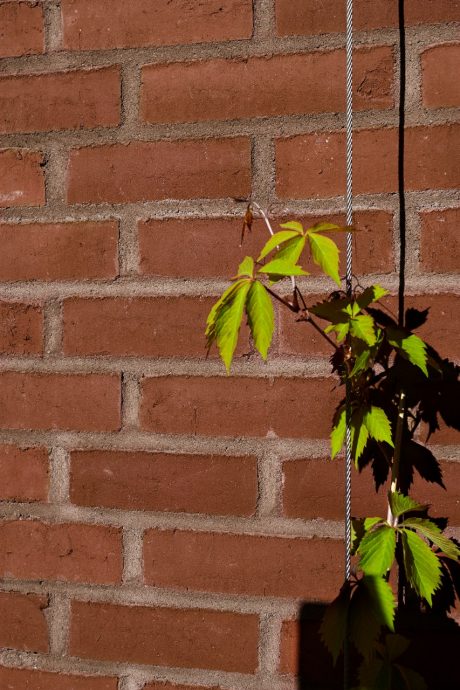 Appartment Building in Malmoe, Facing Brick, W 465 Roed Nyanserad