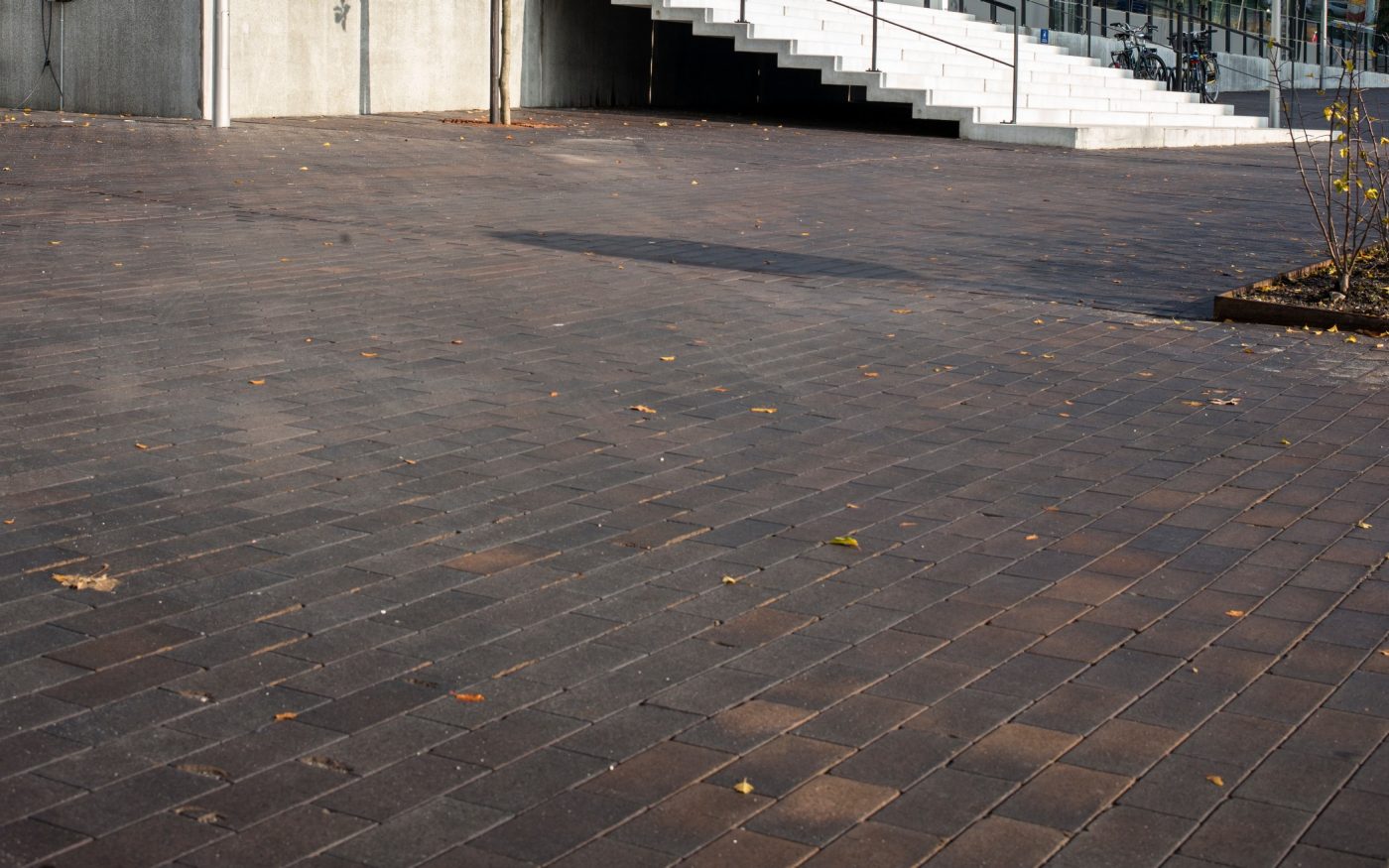 Novo Nordisk, Paver, Bretagne