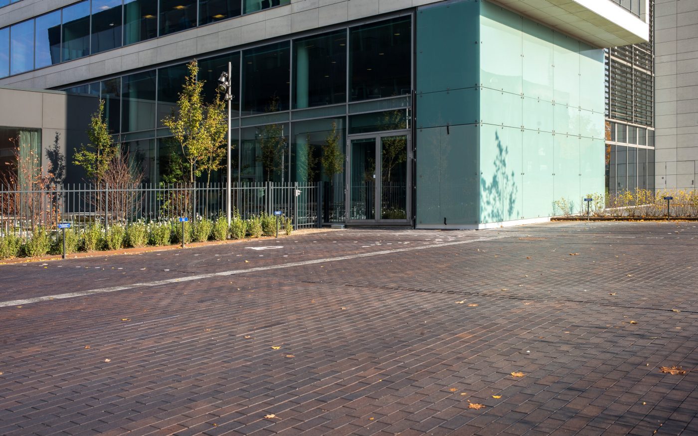 Novo Nordisk, Paver, Bretagne