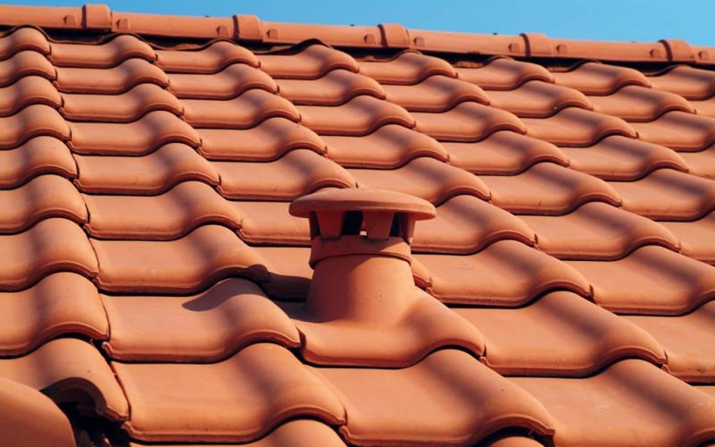 Het Molenveld
B - 2580 Peulis - Putte

Bisch Alegro Rood
