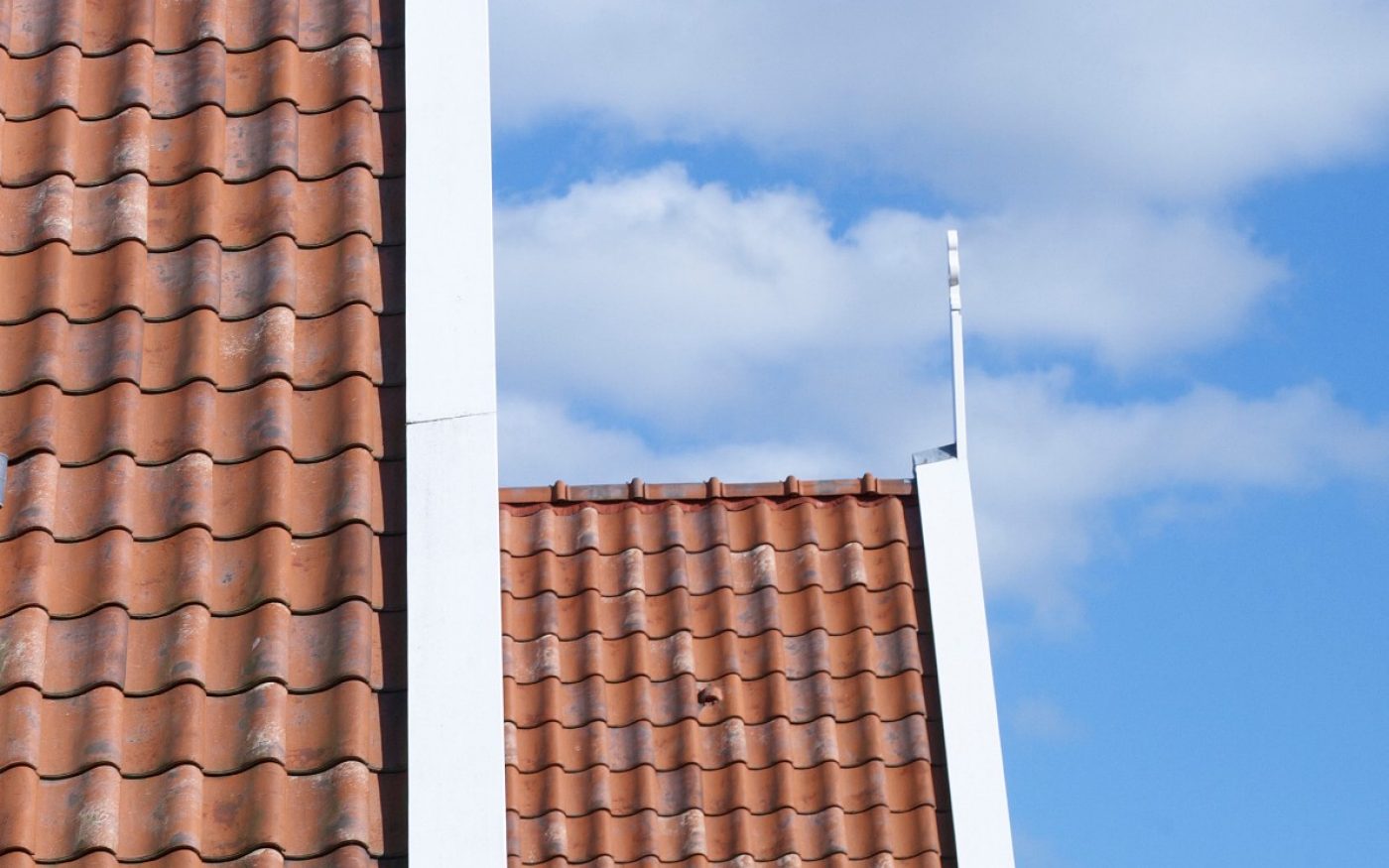 Oude Holle 451 Vieilli Blauw Gesmoord and Oude Holle 451 Vieilli Rood | New Construction Half Open Houses | Nautisch Kwartier, Huizen | Architect: Wijbenga Architecten & Adviseurs, Sneek | Completion Date: 2007-01-01