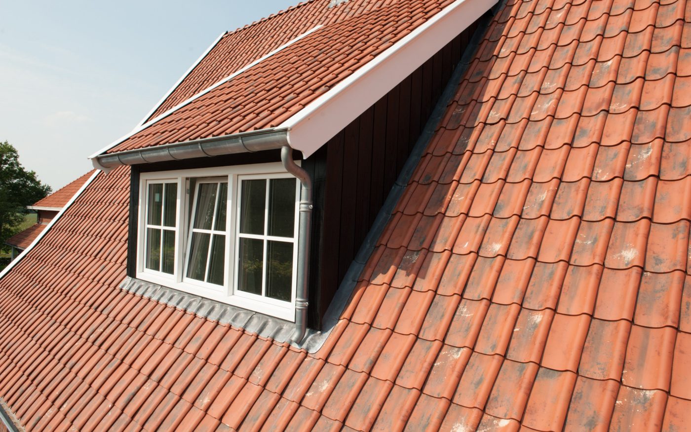 Oude Holle Sinus Vieilli Rood 878 | New Construction Open - Detached House | Rossum