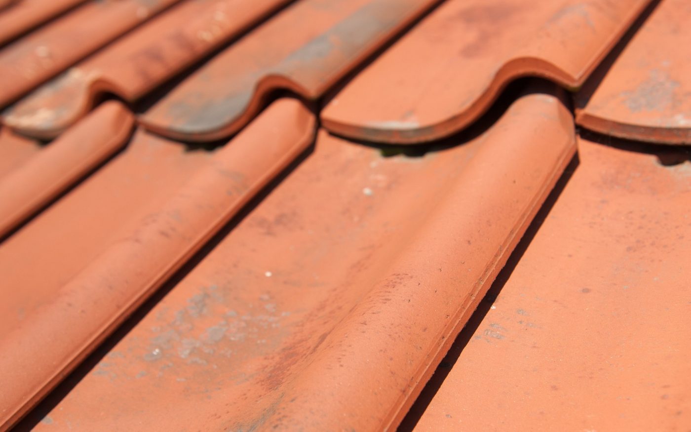 Oude Holle Sinus Vieilli Rood 878 | New Construction Open - Detached House | Breezand