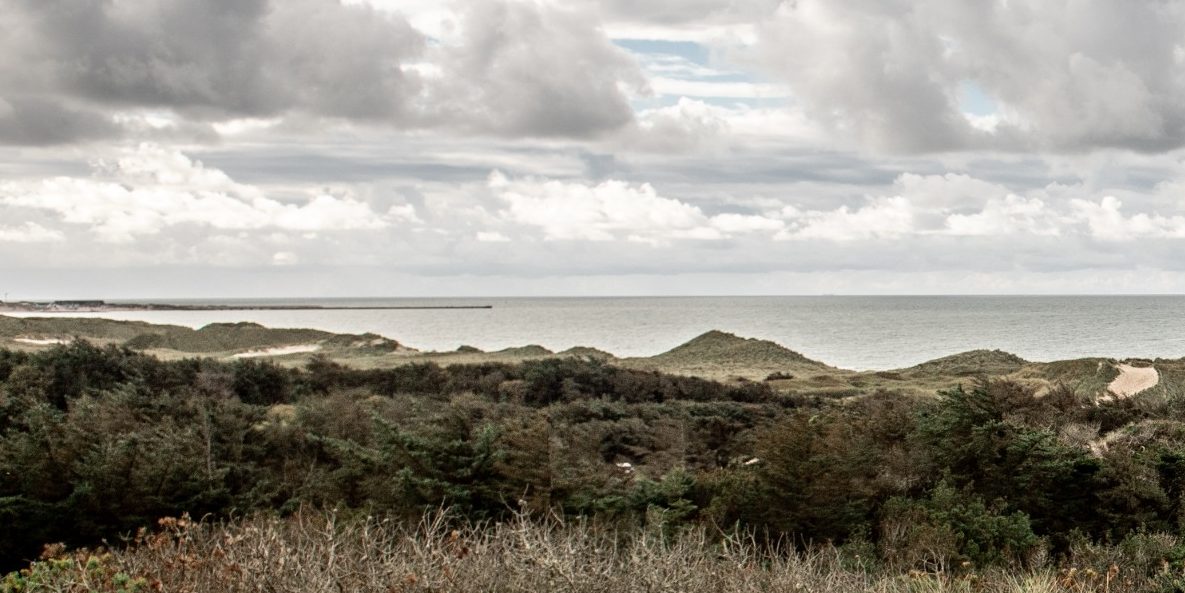 Mursten: Thy-serien - landskaber fra Thy