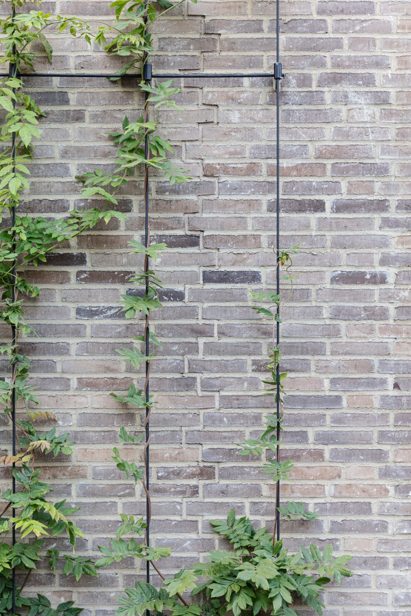 Brick: EW0448 Halm | Toves Gaard, Denmark