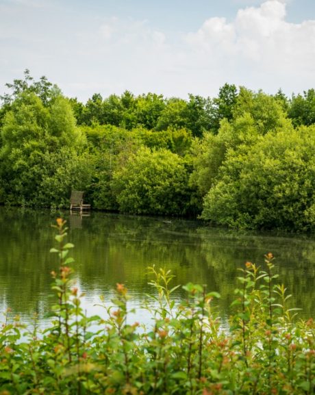 Biologisk mångfald - Stenstrup lergrav