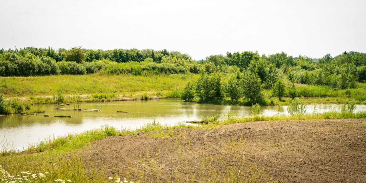 Biologisk mångfald - Stenstrup lergrav