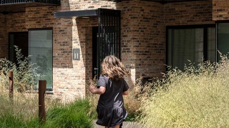 Skibet Køge Kyst bæredygtigt byggeri Safari