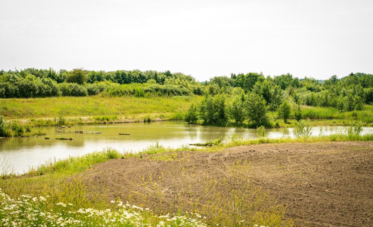Biologisk mångfald - Stenstrup lergrav