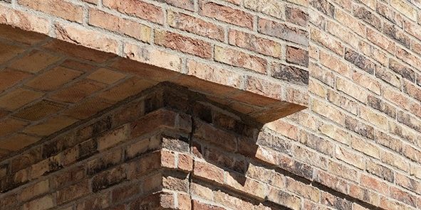 EW3373 Safari - Skibet Køge