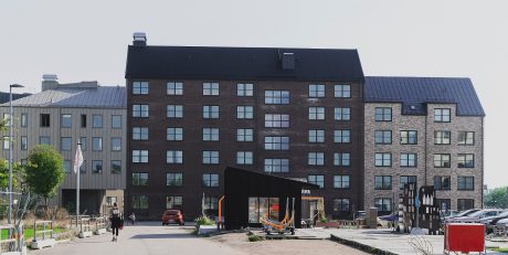 Fasadtegel - EW2135 White Bonasus - EW2422 Brun - EW2163 Cassis - Solkatten, Sverige