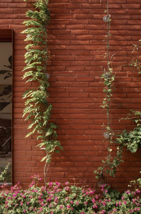 Dezeen Award Æbleøen Arhus Cebra Arkitekter