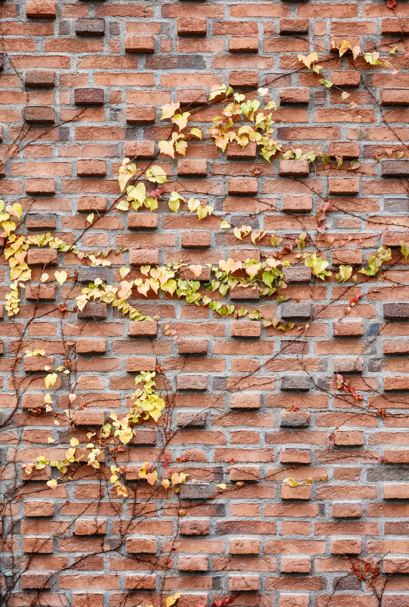 Apartment building, Groenttorvet, Hortensia Hus, Roed haandstroegen