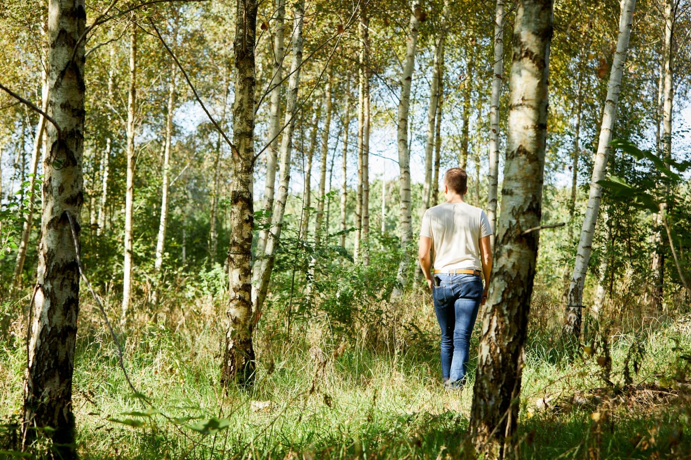 Tree planting project Denmark 2024