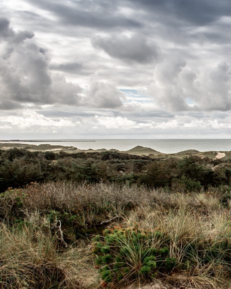 Mursten: Thy-serien - landskaber fra Thy