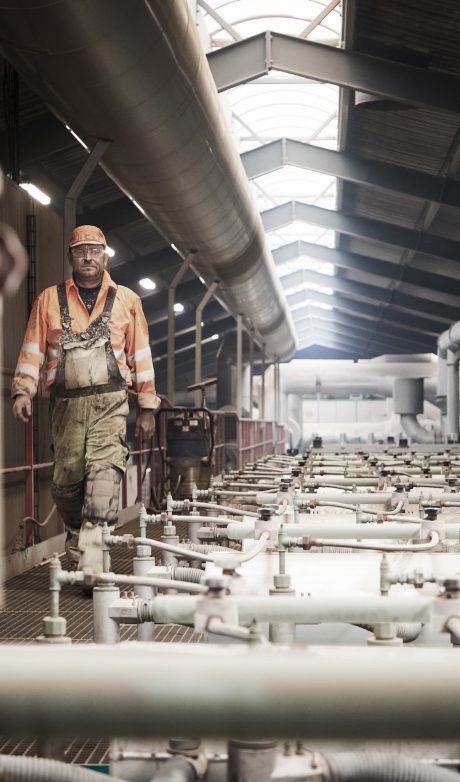 LESS produktion - Vesterled marts