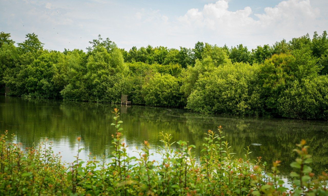 Biologisk mångfald - Stenstrup lergrav