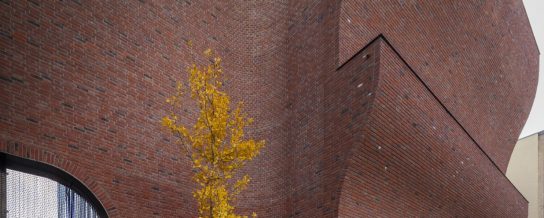 Kolengestookt Flamenco Mix VB WF | New Construction Sportcomplex | Violenstraat, Groningen | Architect: Architectenbureau Marlies Rohmer, Amsterdam | Contractor: Brands Bouwgroep B.V., Emmen | Client: Dienst OCSW and Township Groningen | Photographer: Daria Scagliola | Completion Date: 2014-01-01