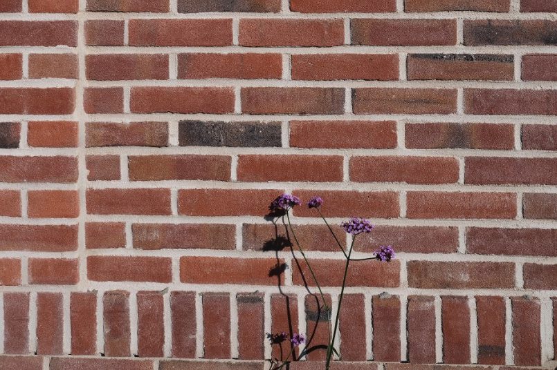 Renovation 50 houses | Kolkakkerweg, Ede | Facadebrick: Rood Kolengestookt VB RE | Architect: OpZoom Architecten | Aannemer: Klokgroep Totaalonderhoud | Client: Woningcorporatie Woonstede