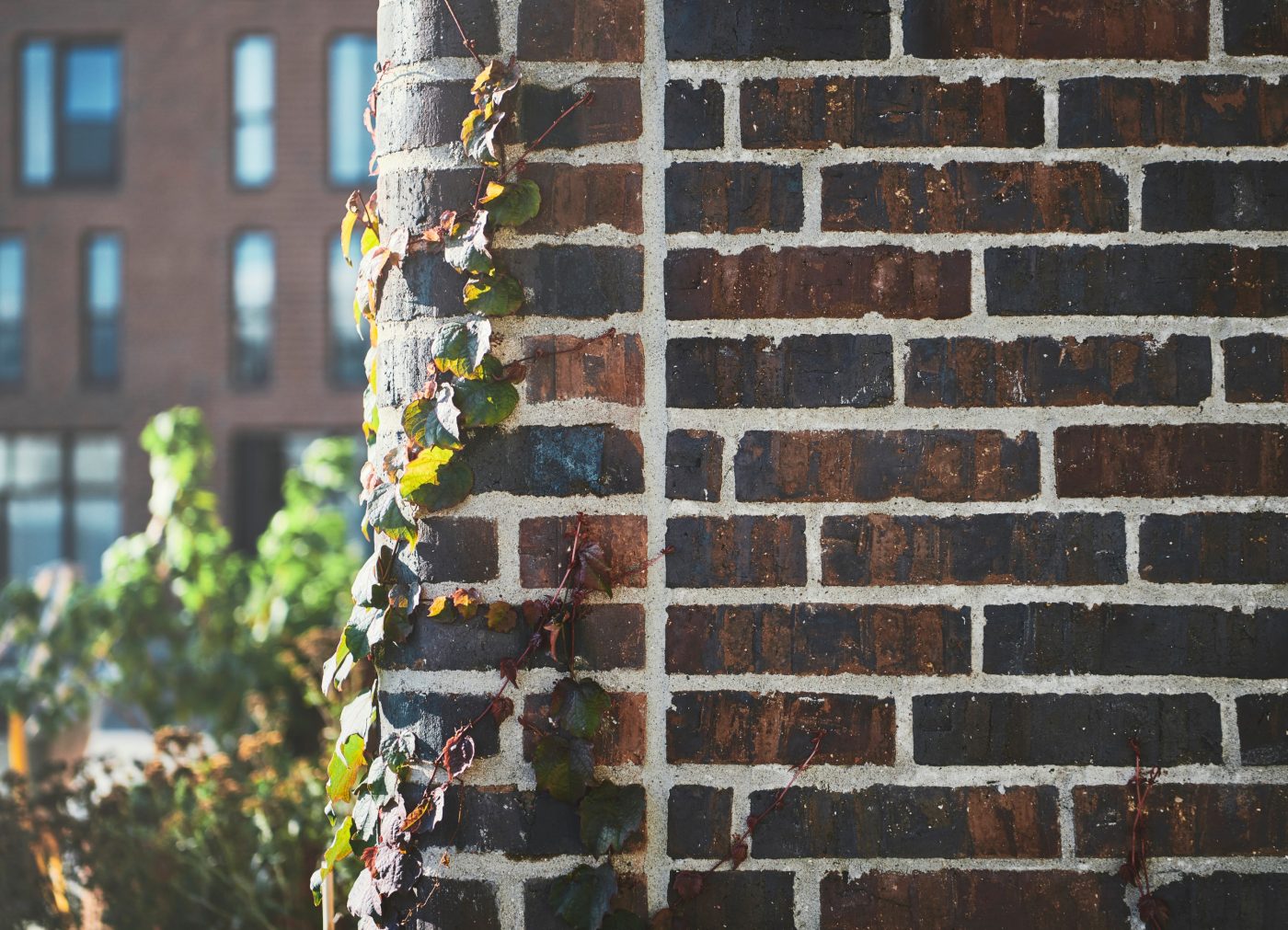 Fasadtegel: EW2445 Persa | Rhododendron Hus, Danmark