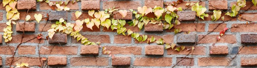 Apartment building, Groenttorvet, Hortensia Hus, Roed haandstroegen