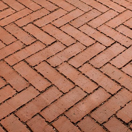 Aquata pavers root