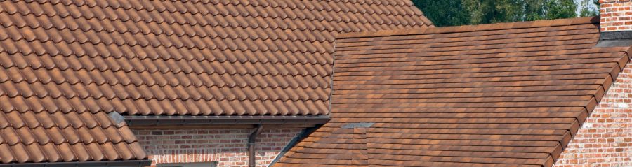 New construction single family in Wieze