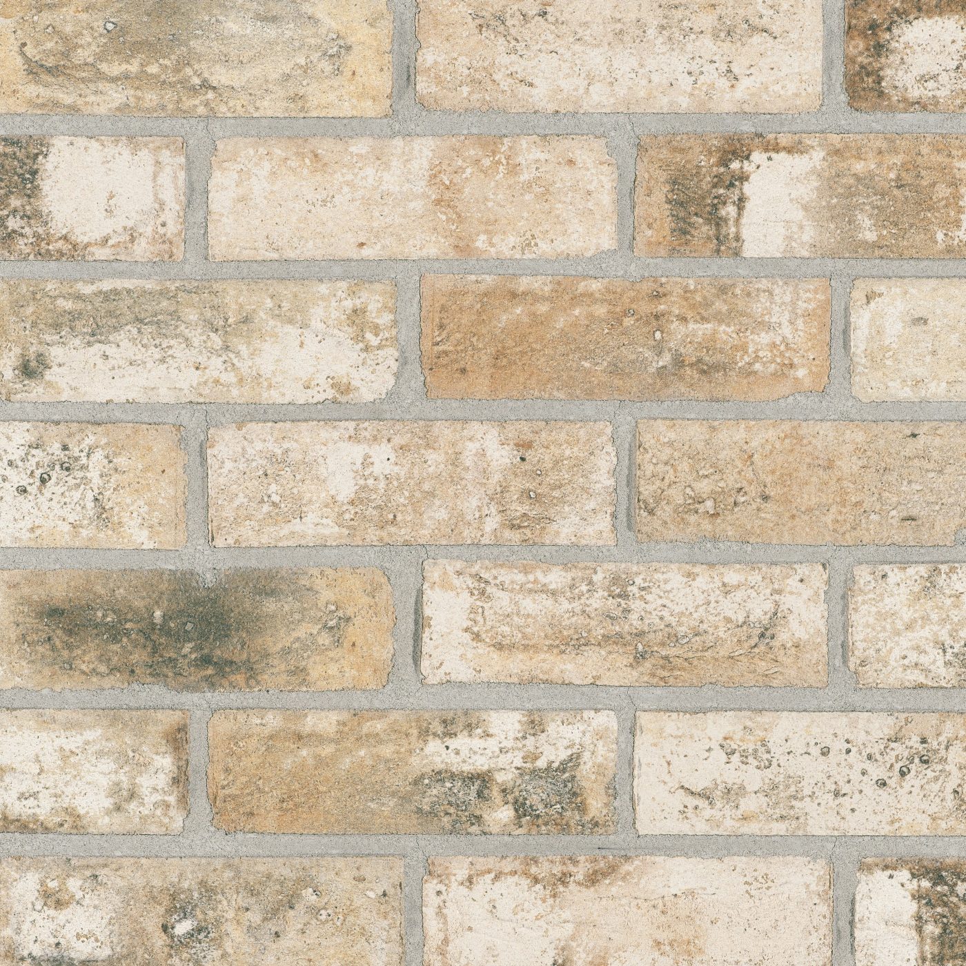 Productshot of the Jura Cream HV EF Strip 18 mm