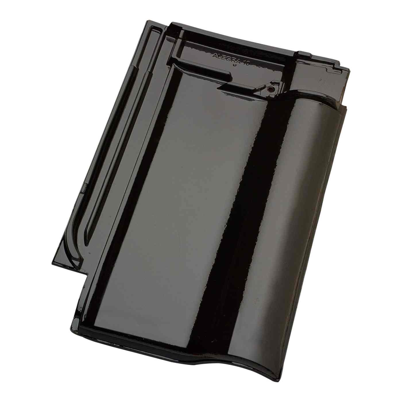 Productshot of the Alegra 10 Zwart Verglaasd Roof Tile